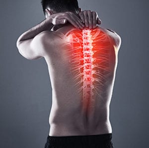Digital image of mans spinal cord